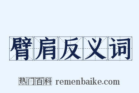 臂肩反义词是什么意思的图片